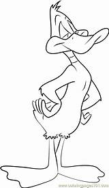 Duck Daffy Coloring Pages Animaniacs Coloringpages101 Cartoon Online sketch template