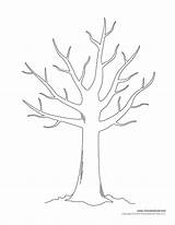 Tree Coloring Outline Drawing Templates Leaves Template Printable Trees Printables Bare Easy Print Pages Kids Color Trunk Drawings Family Without sketch template