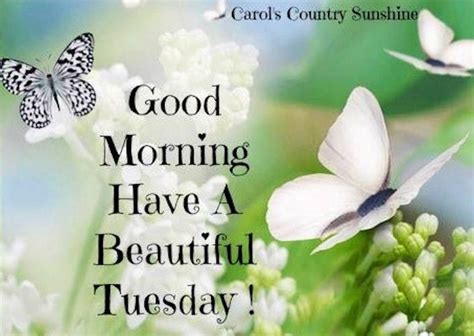 good morning happy tuesday pictures   images  facebook