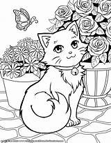 Kleurplaat Poes Bloemen Kleurplaten Kittens Schattige Katten Tekeningen sketch template