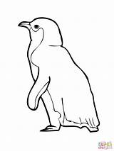 Penguin Coloring Pages Printable Outline Baby Little Drawing King Kids Animal Color Print African Blue Cliparts Clipart Getcolorings Getdrawings Clipartmag sketch template