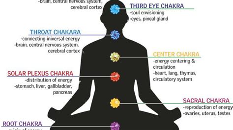 The Chakras In Our Body Need To Be Aligned For Our Well Being See How