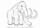 Mammoth Woolly Draw Step Drawing Animals Tutorials Make Drawingtutorials101 Other sketch template