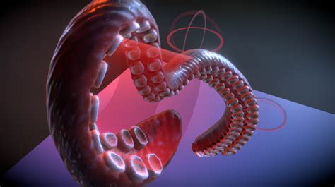 tentacle a 3d model collection by f00f sketchfab