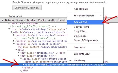 google chrome settings edit html  page zoom option fluxbytes