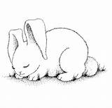 Bunny Sleeping Coloring Pages Rabbit Clipart Printable Animal Kids Bunnies Print Drawing Rabbits Wallpapers Color Choose Board Clipground Fanpop sketch template