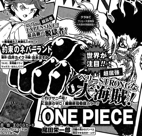 editors comment ch onepiece