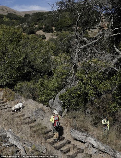 tantric sex therapist steve carter shot dead on california hiking trail