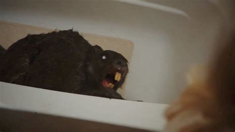zombeavers director this isn t sharknado video the hollywood reporter