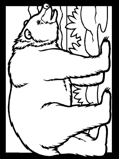bears color bear animals coloring pages coloring book find