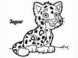 Jaguar Coloring Cartoon Cheetah Pages Drawing Baby Easy Clipart Kids Clip Cute Animal Printable Simple Getdrawings Outline Drawings Head Draw sketch template