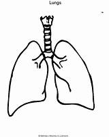 Coloring Lungs Printable sketch template