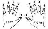 Fingering Fingers Music Numbering Chord Positioning Octave Developing sketch template
