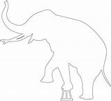 Circo Elefante Contorno Silueta sketch template