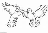 Pajaros Linnut Animal Fly Pigeons Varityskuvia Tulosta Seite sketch template