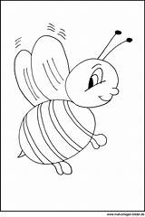 Biene Malvorlagen Malvorlage Bienen Ausdrucken Kinderbilder Tiermotive Datei Besuchen Onlycoloringpages sketch template