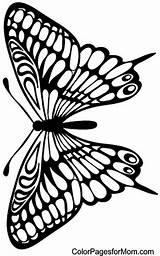 Mariposas Kolorowanki Motyle Schmetterling Schmetterlinge Vorlagen Motylami Ausmalen Muster Outline Mariposa Szablony Basteln Bordar Cuadernos Ausmalbilder Sgraffito Gemälde Pintadas Motyl sketch template