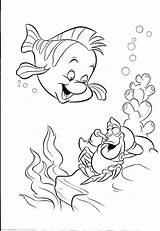 Coloring Mermaid Sebastian Little Pages Flounder Disney Ariel Drawing Drawings Dora Simple Kids Sheets Colouring Printable Color Book Characters Print sketch template