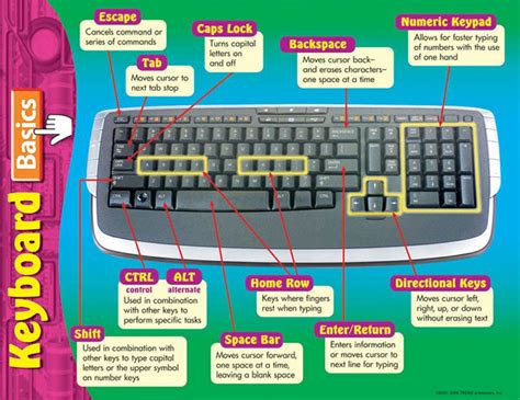 trend enterprises computer keyboard basics learning chart   supplyme