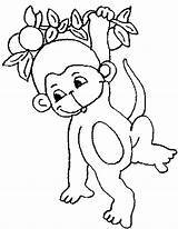 Monkey Pages Coloring Para Printable Cute Imagen sketch template