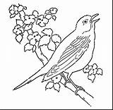 Bird Drawing Flying Line Birds Coloring Getdrawings sketch template