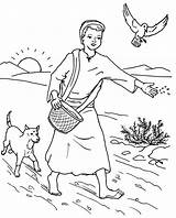 Coloring Seed Parable Sower Farmer Pages Among Thorns Seeds Scattered Bible Kids Sunday School Colouring Thorn Color Jesus Parables Printable sketch template