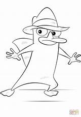Perry Agent Platypus Draw Schnabeltier Zeichentrickfiguren Supercoloring Ornitorinco P8 Schritt Lernen sketch template
