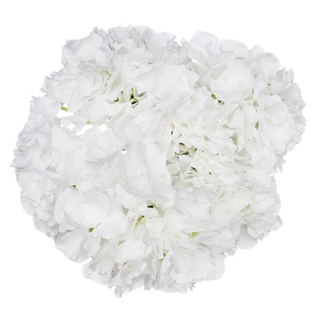 white bunch hydrangea silk flowers 6 heads per bunch royal imports