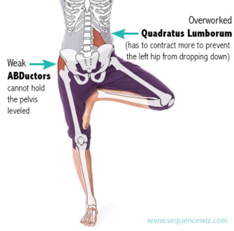 Weak Abductors Link To Yoga Video To Strengthen And Stretch Adductors