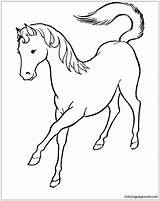 Horse Pages Cute Coloring Beautiful Color Online Rearing Coloringpagesonly sketch template