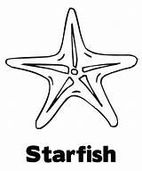 Coloring Starfish Pages Sea Star Drawing Line Healthy Kids Fish Getdrawings Getcolorings Printable Book Drawn Colorings sketch template