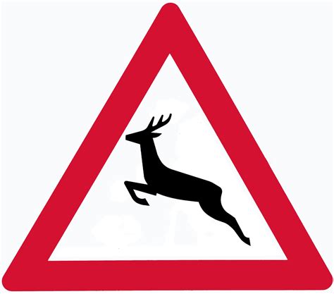 deer crossing sign isolated  photo  freeimages