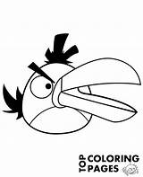 Coloring Angry Birds Book Topcoloringpages Print sketch template