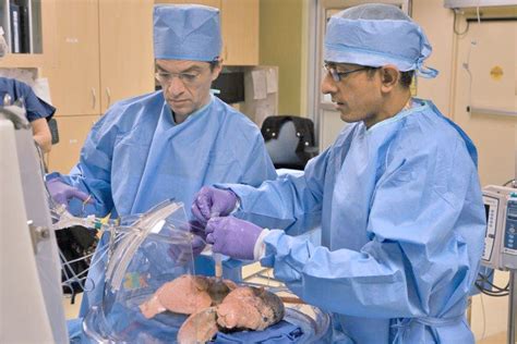 surgeons test technology  potential  expand lung transplant donor