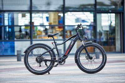 ordered electric bikes   solution  fight climate change