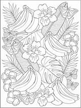 Tropical Coloring Pages Flower Publications Dover Choose Board Haven Creative Color sketch template