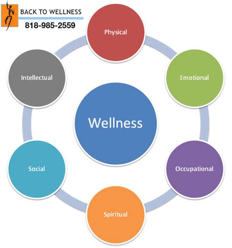 holistic center    wellness physical therapy los angeles