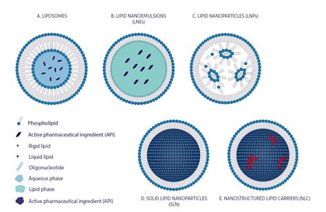 types  nanoparticles