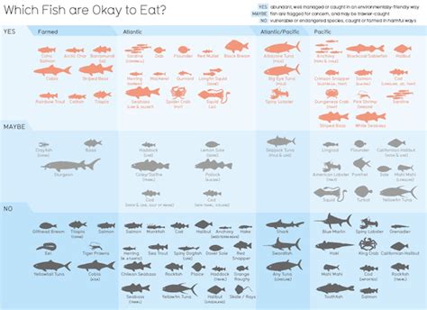 handy chart  fish decisions easy