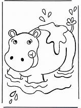 Coloring Hippo Nilpferd Ippopotamo Colorear Hippopotame Bambini Hipopotamo Wasser Malvorlagen Disegni Flusspferd Nijlpaard Ausmalbild Hippopotamus Kleurplaten Nellacqua Hipopotama Leau Dierentuin sketch template