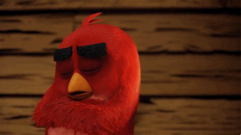 music video sleeping by angry birds find and share on giphy