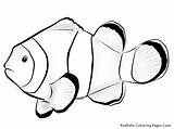 Fish Coloring Pages Nemo Clown Tropical Printable Drawing Realistic Outline Ocean Clownfish Color Kids Flying Sea Exotic Clipart Blank Parrot sketch template