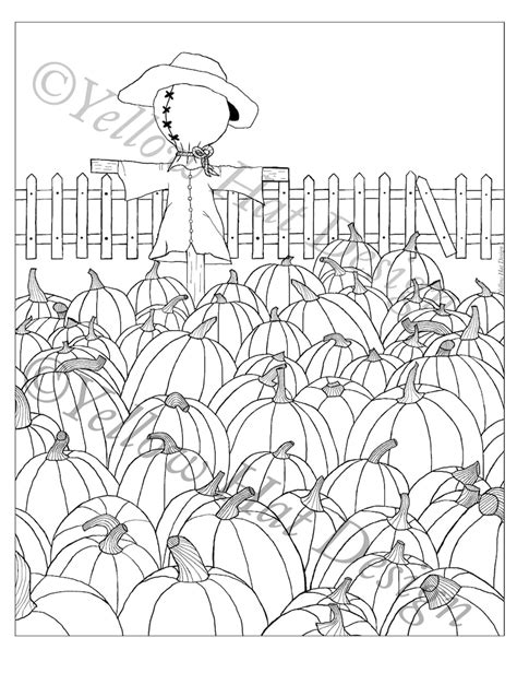 pumpkin patch coloring page pumpkin coloring page fall etsy