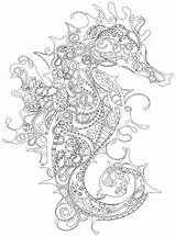 Seahorse Mandalas Erwachsene Ausmalen Sea Seepferdchen Stress Ausdrucken Invasion Kindle Disegni Colorear Jellyfish Seahorses Zentangle Zeichnung Malbuch Kolibri Strichzeichnung Loudlyeccentric sketch template