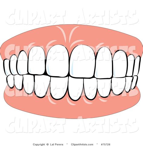 smile  teeth clip art