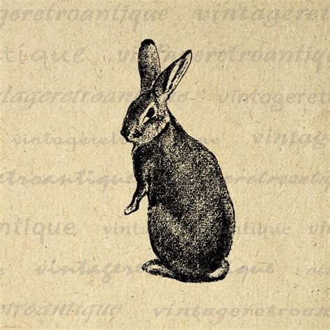 rabbit digital image graphic printable bunny easter spring etsy