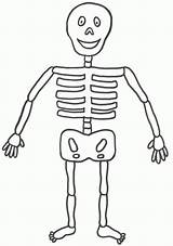 Skeleton Coloring Kids Printable Pages Halloween Template Human Simple Print Crafts Easy Large Esqueleto Cute Sheet Color Colouring Humano Craft sketch template