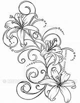 Lily Tattoo Designs Stargazer Metacharis Tattoos Deviantart Flower Drawing Lilies Drawings Flowers Outline Google Sketches Artist Sleeve Getdrawings Swirls Body sketch template