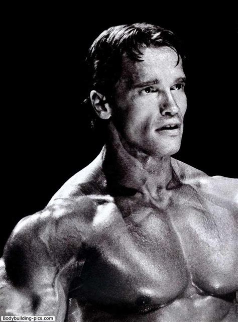 181 best images about arnold s on pinterest arnold schwarzenegger arnold schwarzenegger