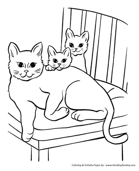 pet cat coloring pages  printable pet coloring pages  activity